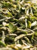 薰衣草如何製作花茶