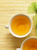 六堡茶是什麼茶樹