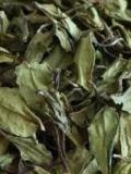花果香型紅茶屬於什麼茶