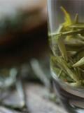小青桔普洱茶的功效與作用及食用方法
