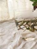 江南茶區主要生長什麼茶葉