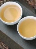 安吉白茶是什麼茶品種？