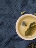 茶花幹葉是什麼病症
