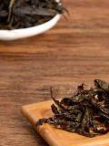 雲南糯米茶樹種植方法