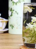 長黃芽葉是什麼茶